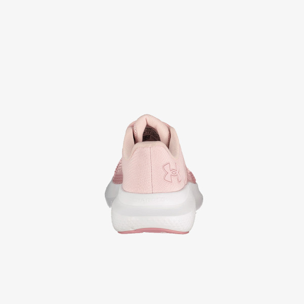 Under Armour Pantofi Sport UA W Charged Rogue 5 