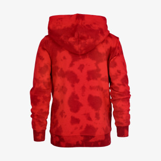 Champion Hanorac BOYS ROCH HOODY 