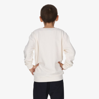 Champion Hanorac SKATE SWEATER B 
