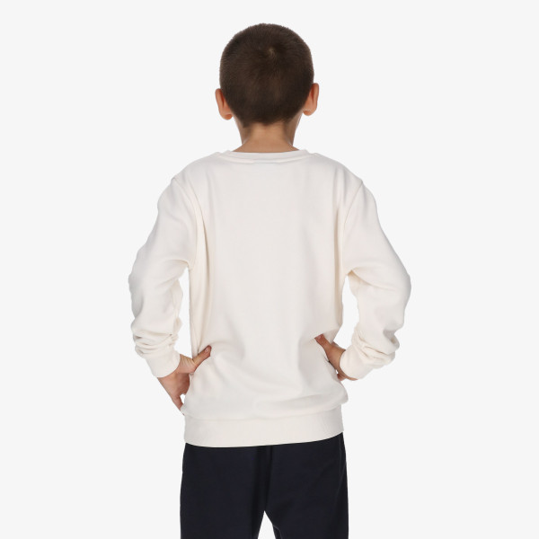 Champion Hanorac SKATE SWEATER B 