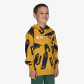 Champion Hanorac SKATE HOODY B 