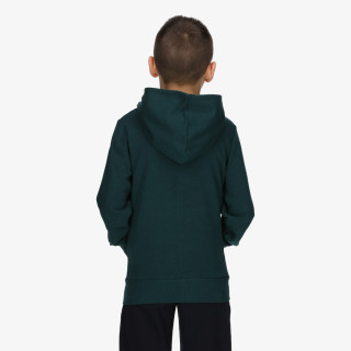 Champion Hanorac Hooded Full Zip Sweatshirt 