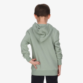 Champion Hanorac Hooded Sweatshirt 