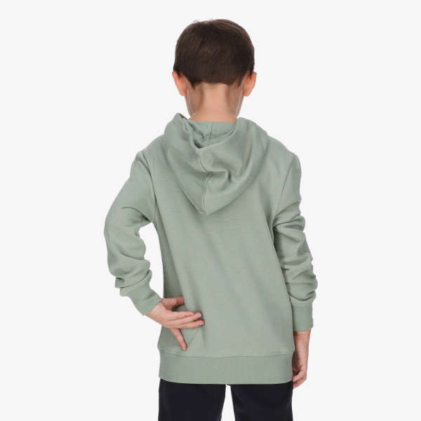 Champion Hanorac Hooded Sweatshirt 