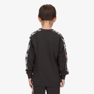 Champion Hanorac Crewneck Sweatshirt 