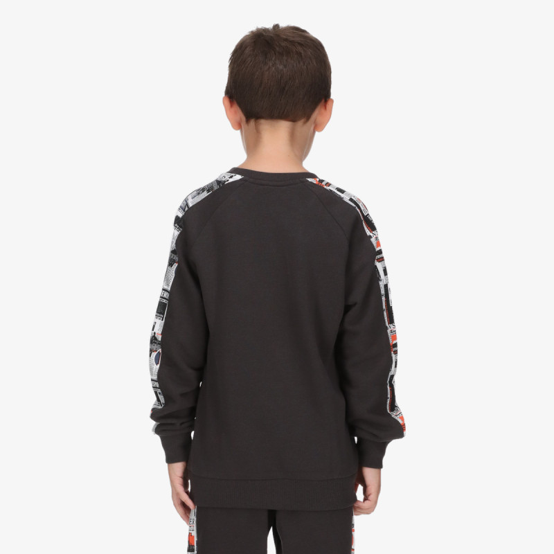 Champion Hanorac Crewneck Sweatshirt 