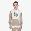 Champion Hanorac Hooded Sweatshirt 