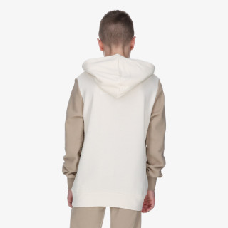 Champion Hanorac Hooded Sweatshirt 