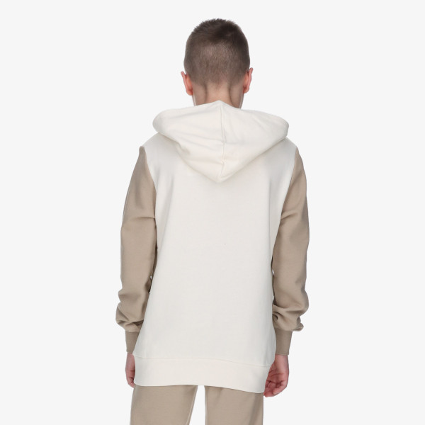 Champion Hanorac Hooded Sweatshirt 