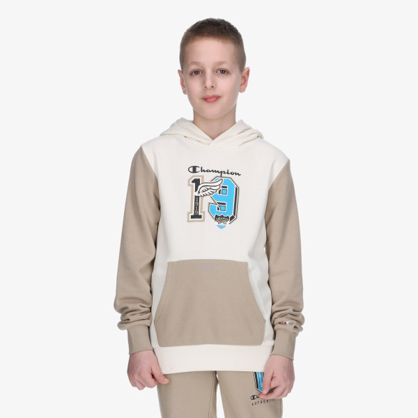 Champion Hanorac Hooded Sweatshirt 