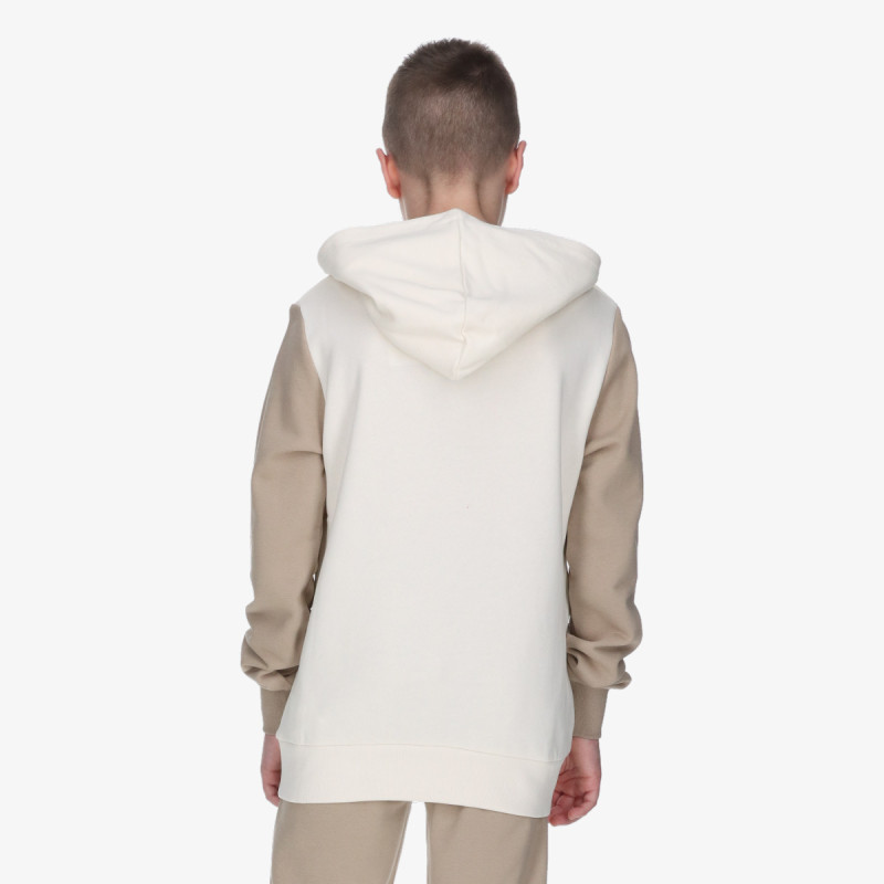 Champion Hanorac Hooded Sweatshirt 