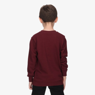 Champion Hanorac SKATE LIFE CREWNECK 