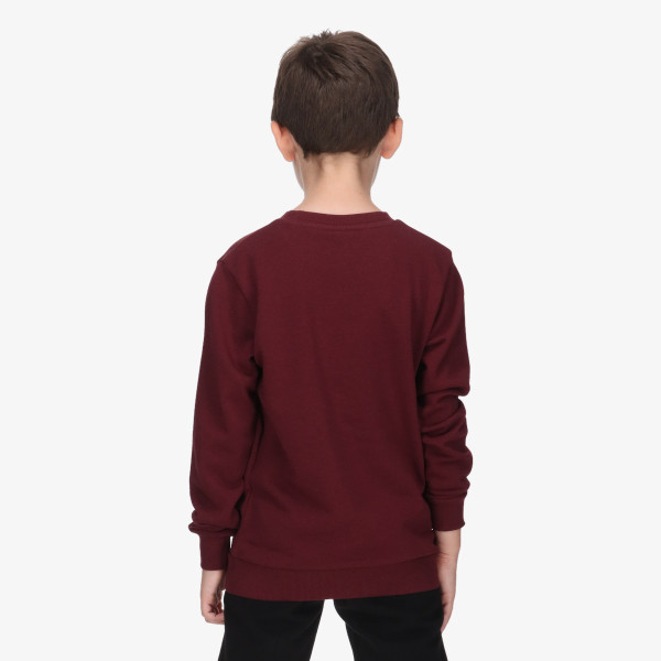 Champion Hanorac SKATE LIFE CREWNECK 