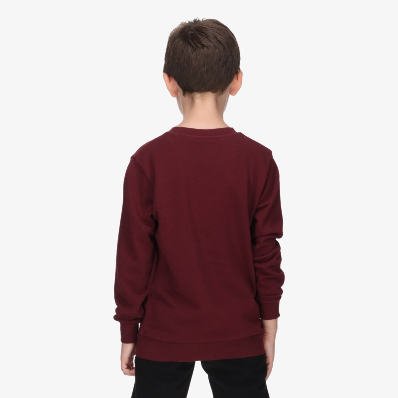Champion Hanorac SKATE LIFE CREWNECK 