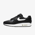 Nike Pantofi Sport WMNS AIR MAX 1 