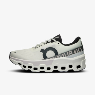 On Pantofi Sport Cloudmonster 2 