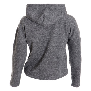Champion Hanorac HOODED SWEATSHIRT 
