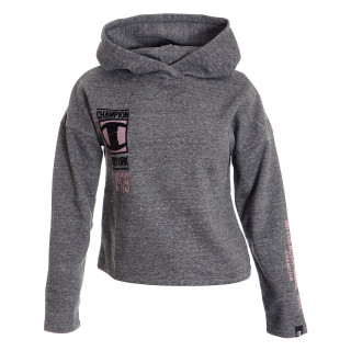 Champion Hanorac HOODED SWEATSHIRT 