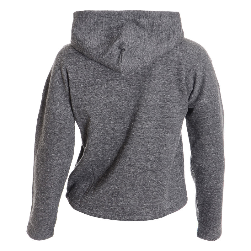 Champion Hanorac HOODED SWEATSHIRT 