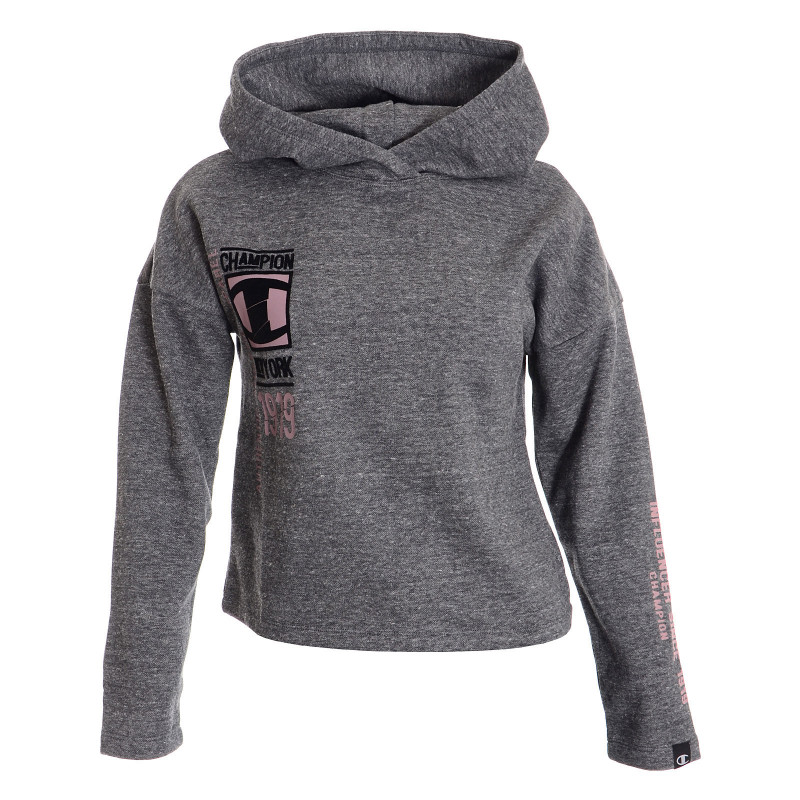 Champion Hanorac HOODED SWEATSHIRT 