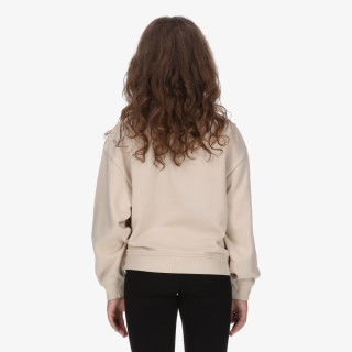 Champion Hanorac Crewneck Sweatshirt 