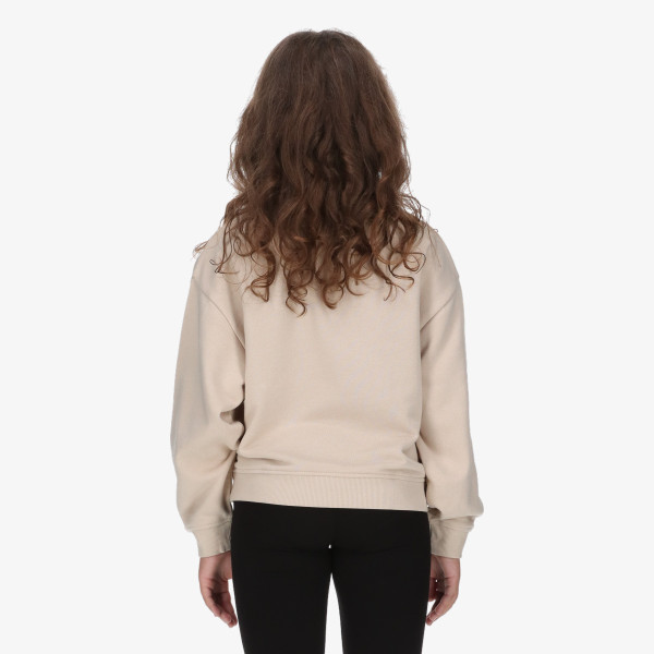 Champion Hanorac Crewneck Sweatshirt 