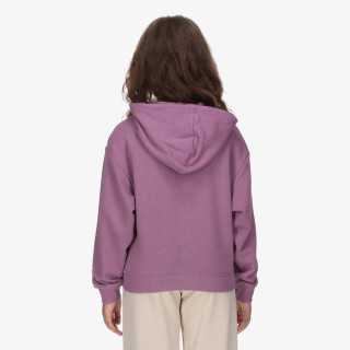 Champion Hanorac Hooded Full Zip Sweatshirt 