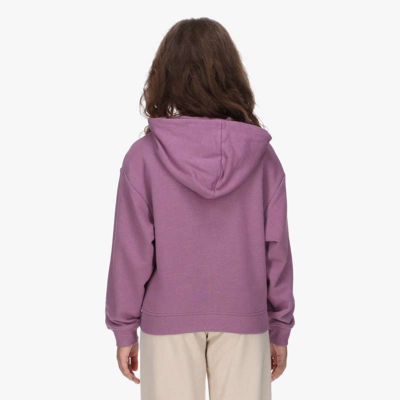 Champion Hanorac Hooded Full Zip Sweatshirt 