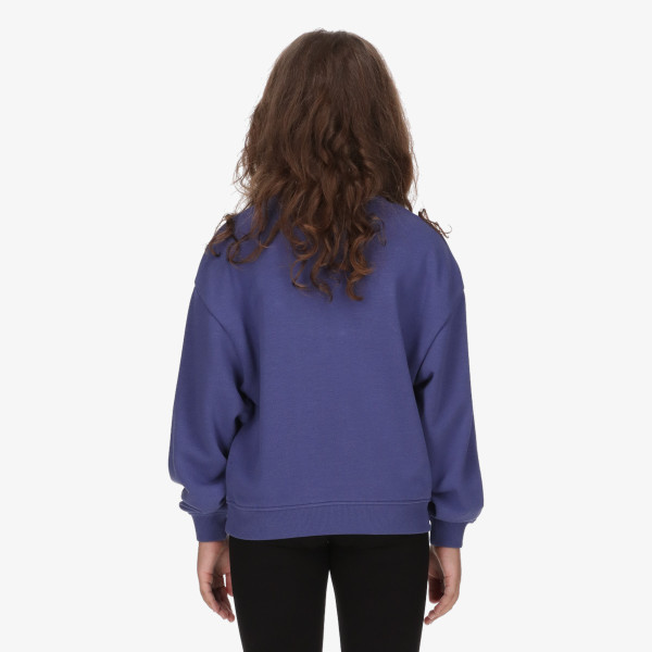 Champion Hanorac Crewneck Sweatshirt 