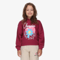 Champion Hanorac Hooded Sweatshirt 