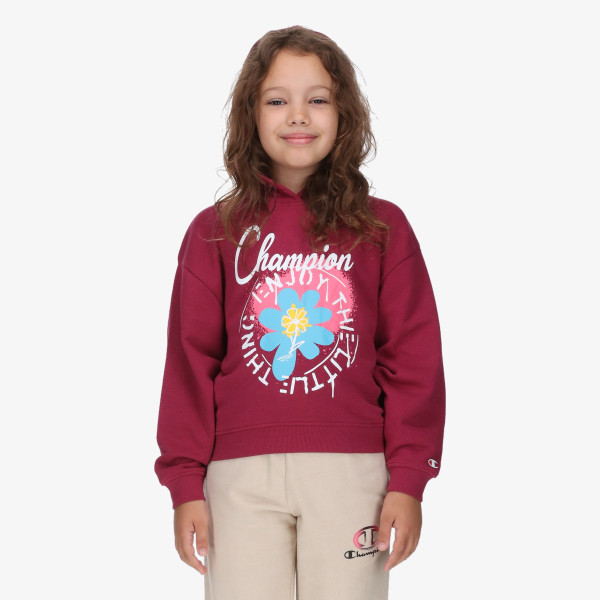 Champion Hanorac Hooded Sweatshirt 