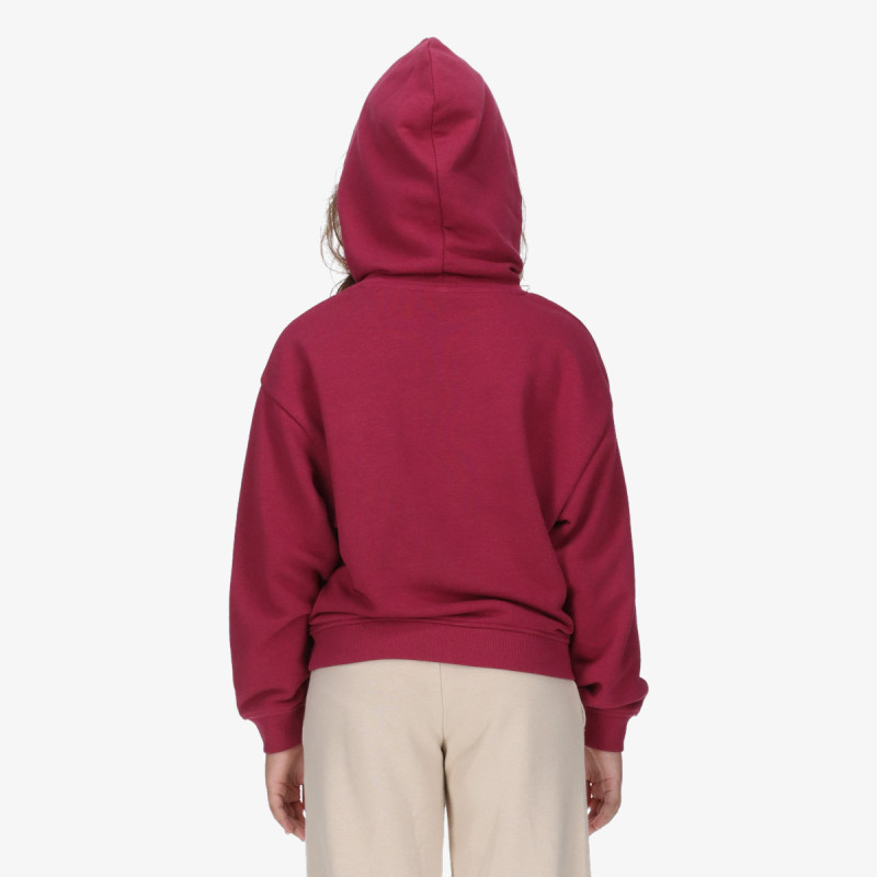 Champion Hanorac Hooded Sweatshirt 