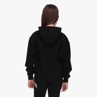 Champion Hanorac Hooded Sweatshirt 