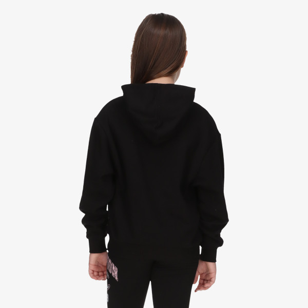 Champion Hanorac Hooded Sweatshirt 