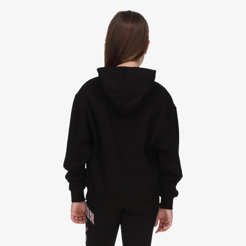 Champion Hanorac Hooded Sweatshirt 