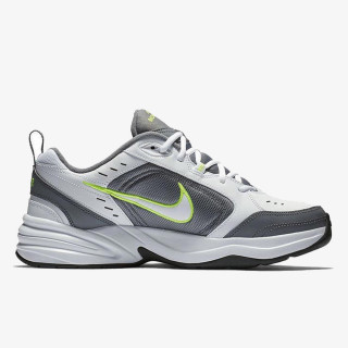 Nike Pantofi Sport AIR MONARCH IV 