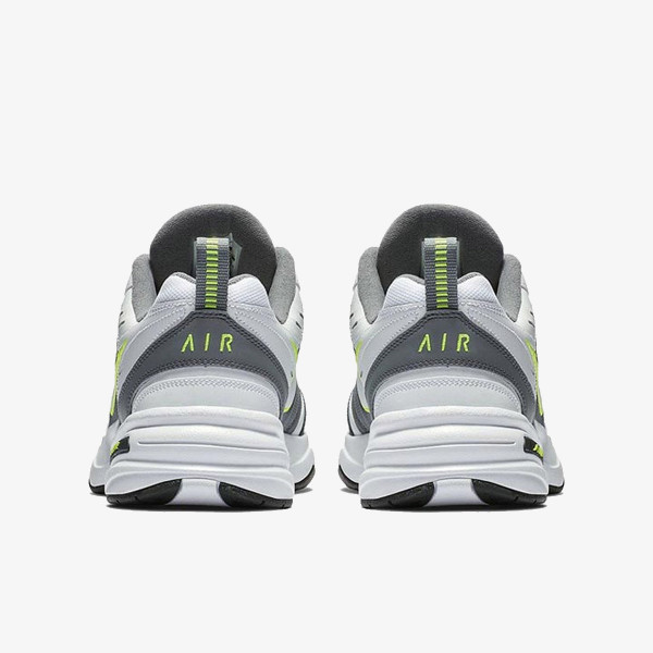 Nike Pantofi Sport AIR MONARCH IV 