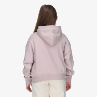 JORDAN Hanorac JDG WJ BRKN FT PO HOODIE 