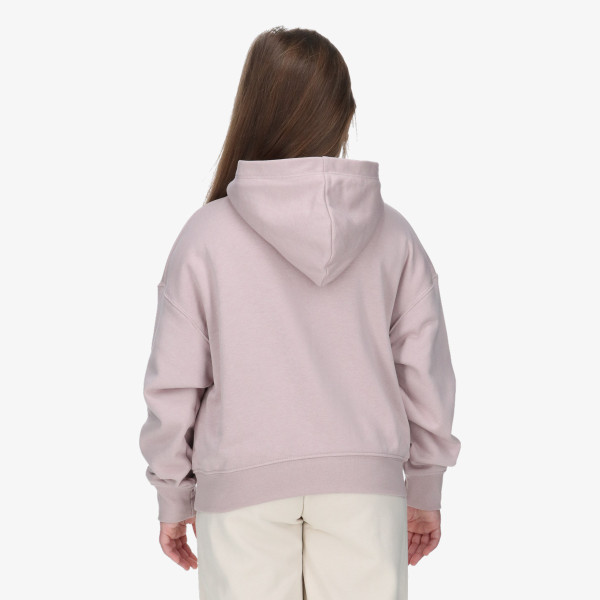 JORDAN Hanorac JDG WJ BRKN FT PO HOODIE 