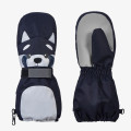Icepeak Manusi Havelsee