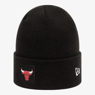 NEW ERA Fes TEAM CUFF BEANIE