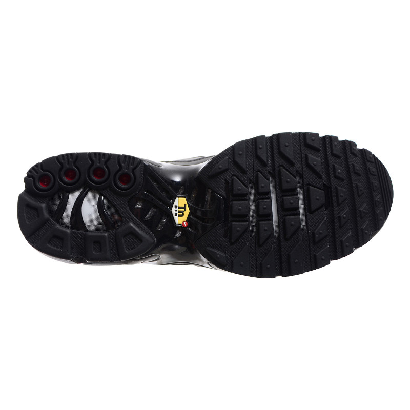 Nike Pantofi Sport AIR MAX PLUS (GS) 