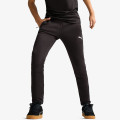 Puma Pantaloni de trening PUMA EVOSTRIPE Pants DK 