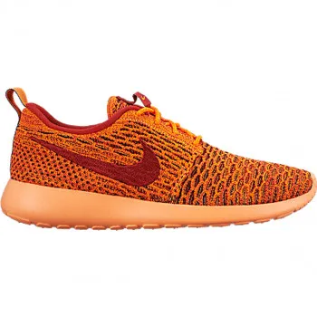NIKE Pantofi Sport WMNS ROSHE ONE FLYKNIT 