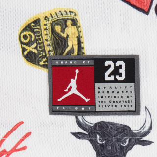 Nike Tricou si pantaloni scurti Jordan 23 