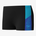 Speedo Sorturi inot Dive 