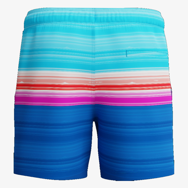 Speedo Pantaloni scurti ENG PRINT REDONDO EDGE VOLLEY 16