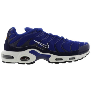 Nike Pantofi Sport AIR MAX PLUS 