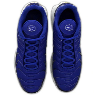 Nike Pantofi Sport AIR MAX PLUS 