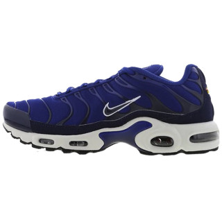 Nike Pantofi Sport AIR MAX PLUS 